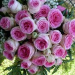 bouquet rose rosa a grappolo